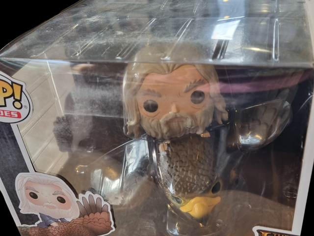 Lord of the Rings - Gandalf on Gwaihir 72