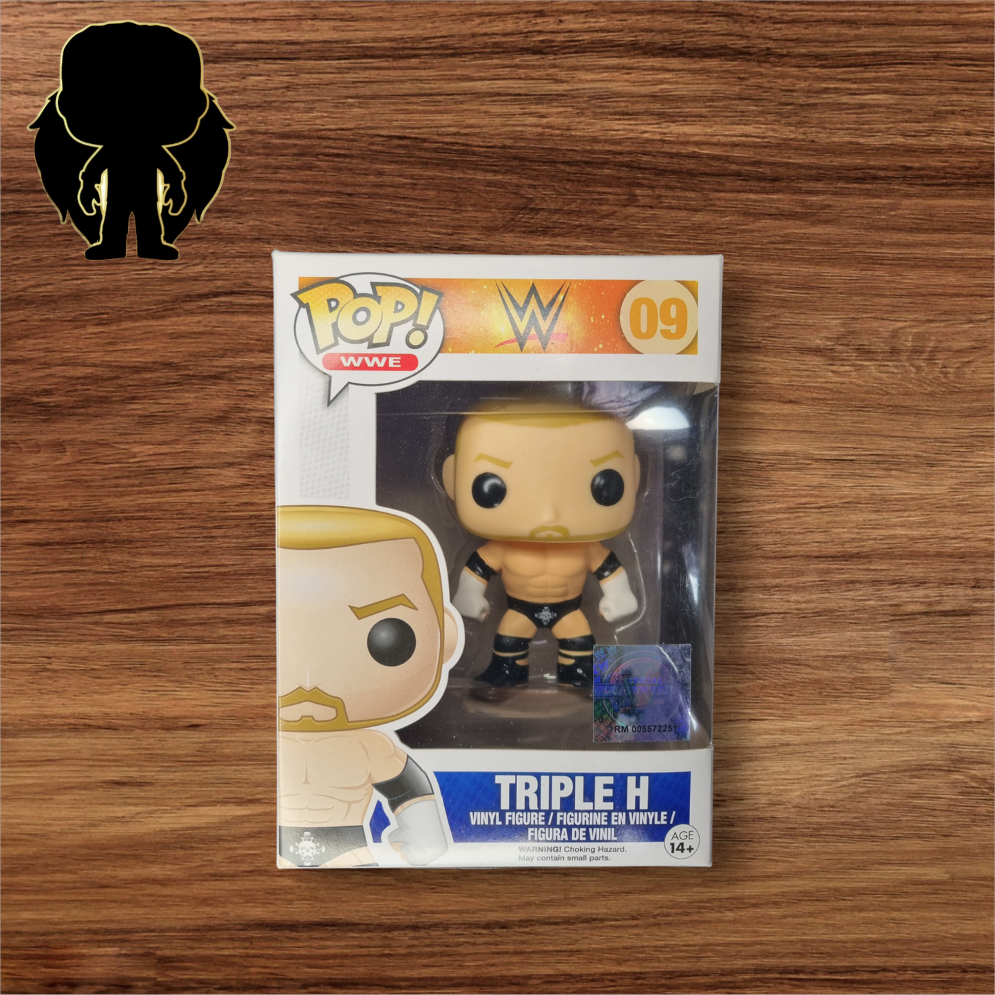 WWE- Triple H 09