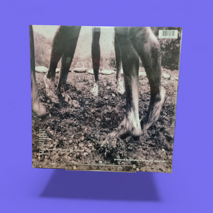 Vinyl - Pearl Jam Vs