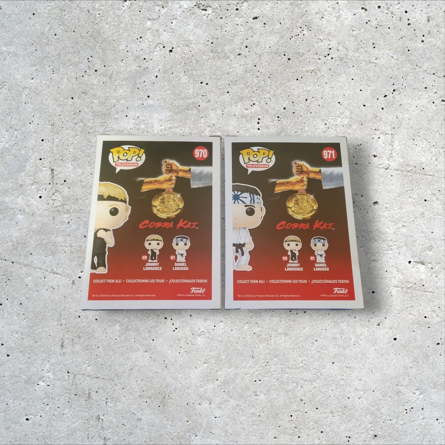 TV- Cobra Kai - Johnny Lawrence & Daniel Larusso  970-971