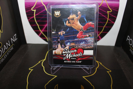 WWE- Shawn Michaels