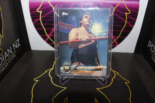 WWE- Andre The Giant
