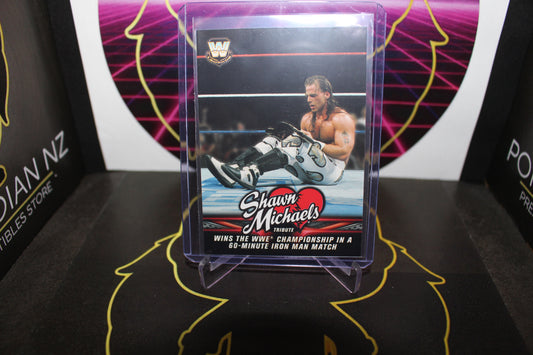 WWE- Shawn Michaels
