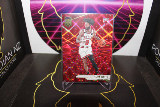 NBA - Coby White