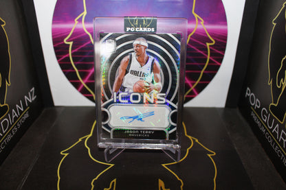 NBA - Jason Terry