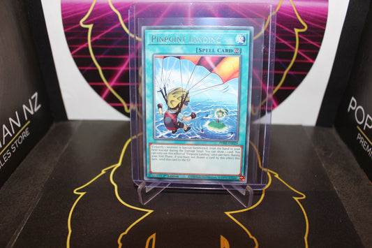 TCG - Pinpoint Landing