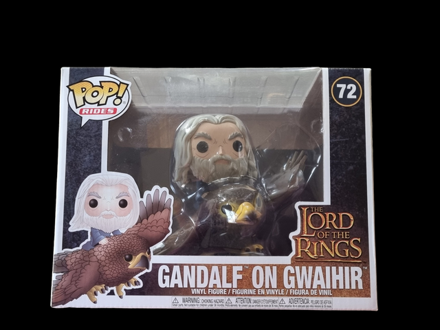 Lord of the Rings - Gandalf on Gwaihir 72