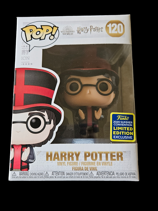 Harry Potter - Harry Potter 120